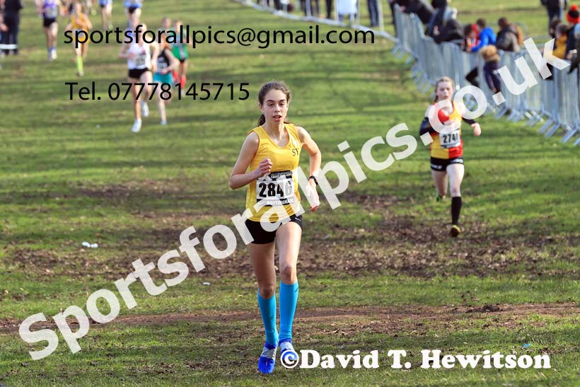 Girls Under-15s, 2024 CAU Inter Counties Cross Country Champs., Wollaton Park, Nottingham. Photo: David T. Hewitson/Sports for All Pics
